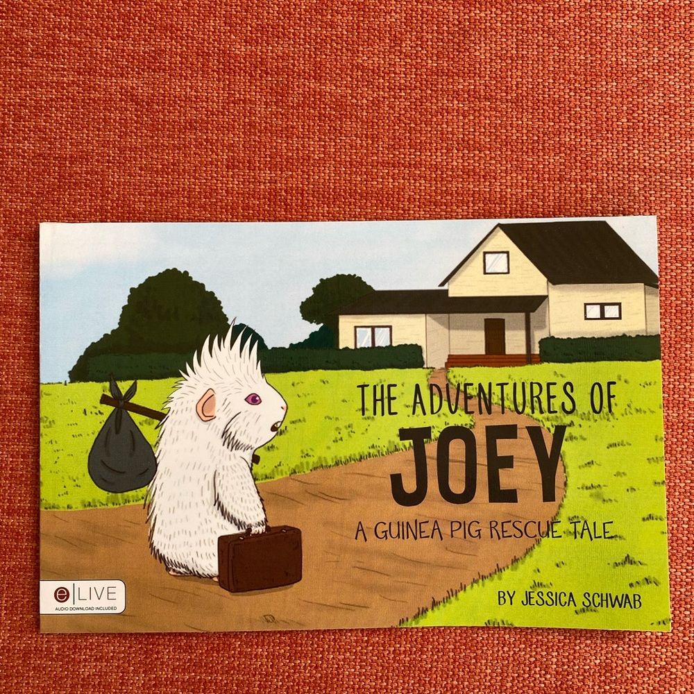 The Adventures of Joey A Guinea Pig Rescue Tale kids book animal rescue paperbck